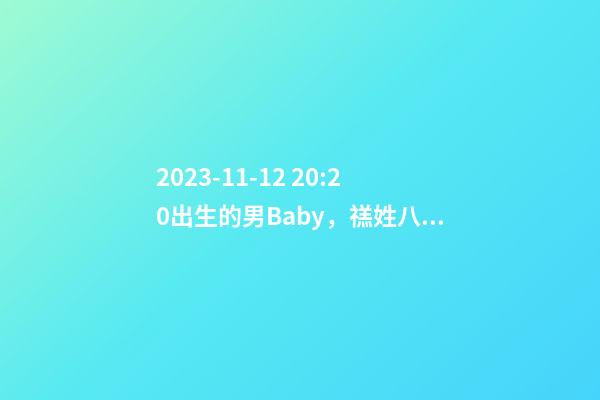2023-11-12 20:20出生的男Baby，禚姓八字起名的来